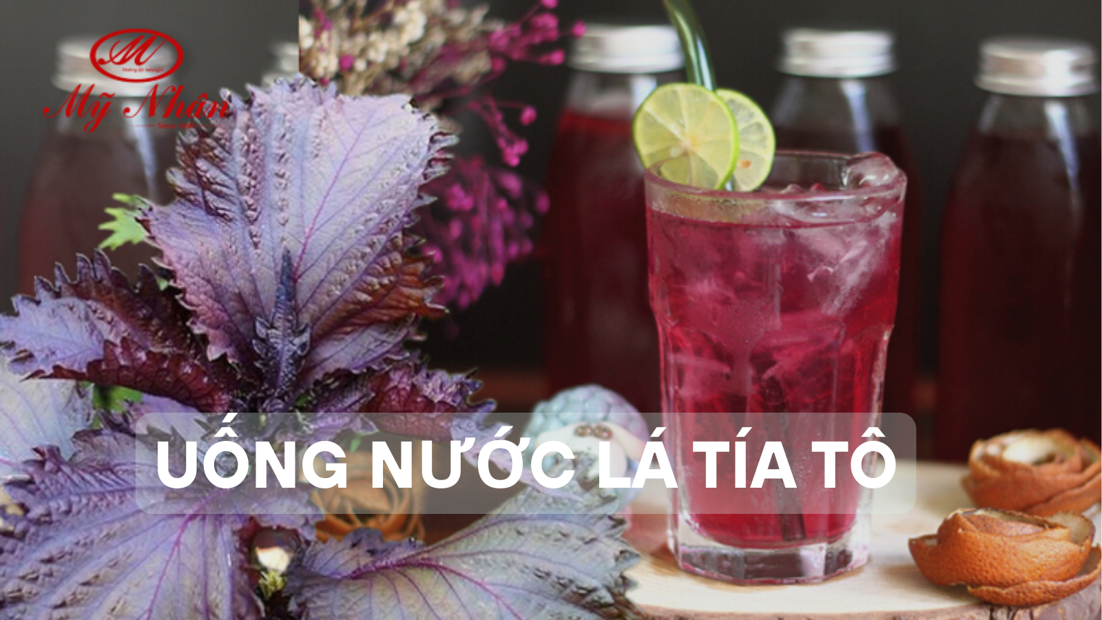 Uống Nước Lá Tía Tô